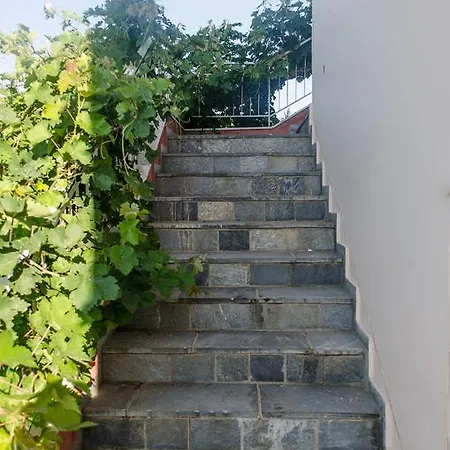 Lakis Monemvasía